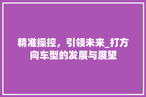 精准操控，引领未来_打方向车型的发展与展望