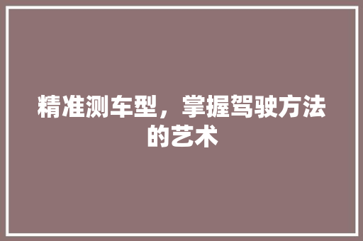 精准测车型，掌握驾驶方法的艺术