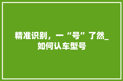 精准识别，一“号”了然_如何认车型号