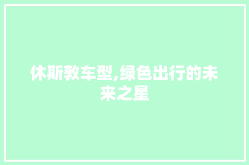 休斯敦车型,绿色出行的未来之星