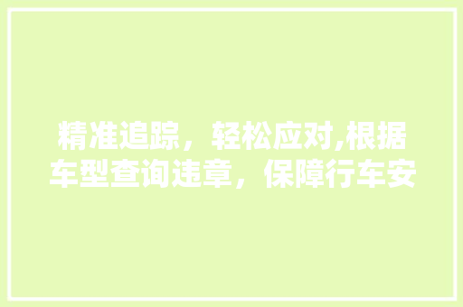 精准追踪，轻松应对,根据车型查询违章，保障行车安全