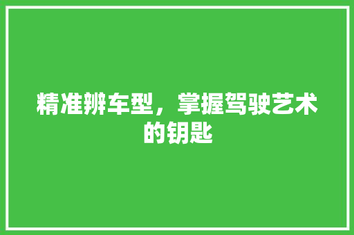 精准辨车型，掌握驾驶艺术的钥匙