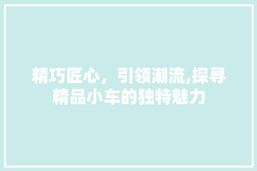 精巧匠心，引领潮流,探寻精品小车的独特魅力