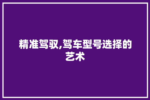精准驾驭,驾车型号选择的艺术