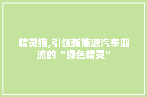 精灵猫,引领新能源汽车潮流的“绿色精灵”