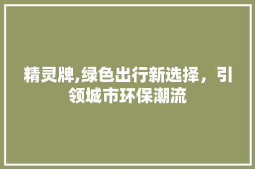 精灵牌,绿色出行新选择，引领城市环保潮流 发动机配件