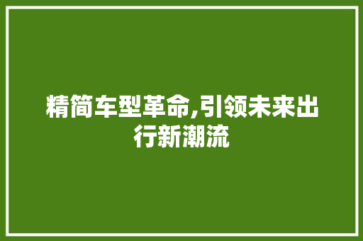 精简车型革命,引领未来出行新潮流