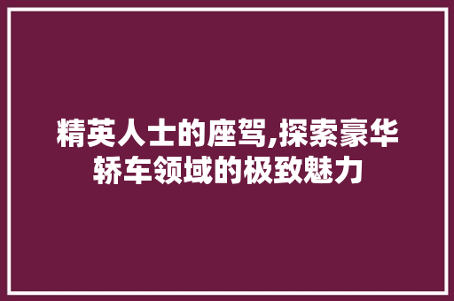 精英人士的座驾,探索豪华轿车领域的极致魅力