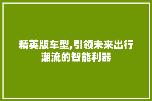 精英版车型,引领未来出行潮流的智能利器