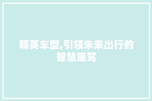 精英车型,引领未来出行的智慧座驾
