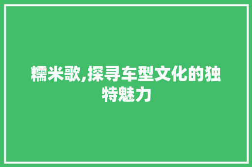 糯米歌,探寻车型文化的独特魅力 车灯配件
