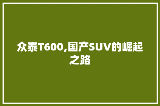 众泰T600,国产SUV的崛起之路