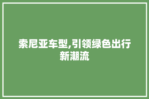 索尼亚车型,引领绿色出行新潮流
