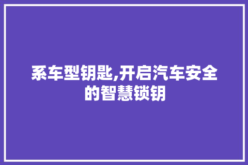 系车型钥匙,开启汽车安全的智慧锁钥