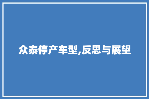众泰停产车型,反思与展望 蓄电池配件