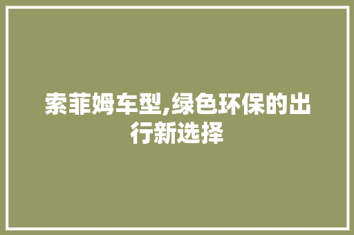 索菲姆车型,绿色环保的出行新选择
