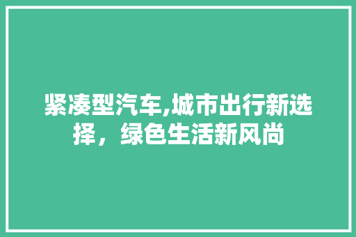 紧凑型汽车,城市出行新选择，绿色生活新风尚