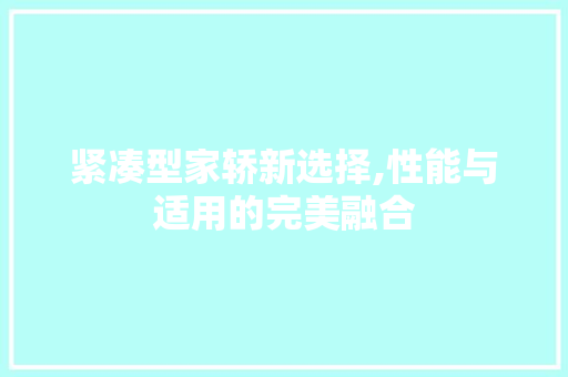 紧凑型家轿新选择,性能与适用的完美融合