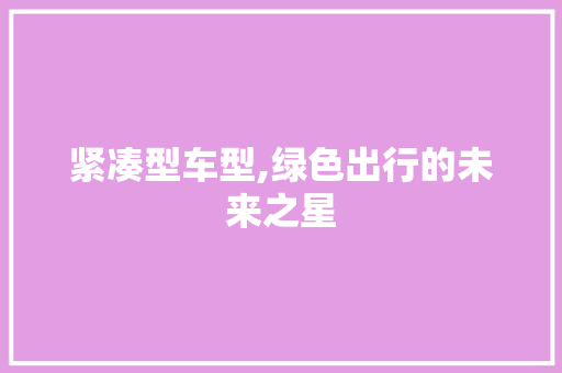 紧凑型车型,绿色出行的未来之星