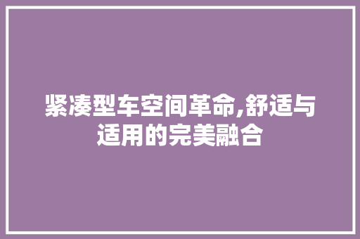 紧凑型车空间革命,舒适与适用的完美融合