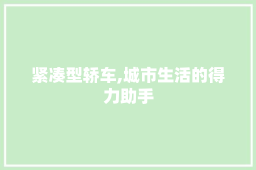 紧凑型轿车,城市生活的得力助手