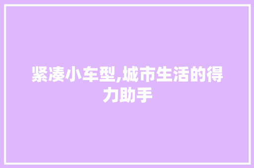 紧凑小车型,城市生活的得力助手