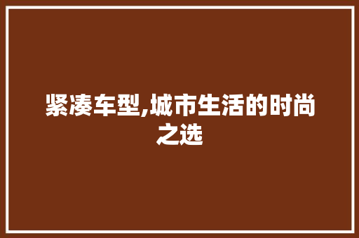 紧凑车型,城市生活的时尚之选