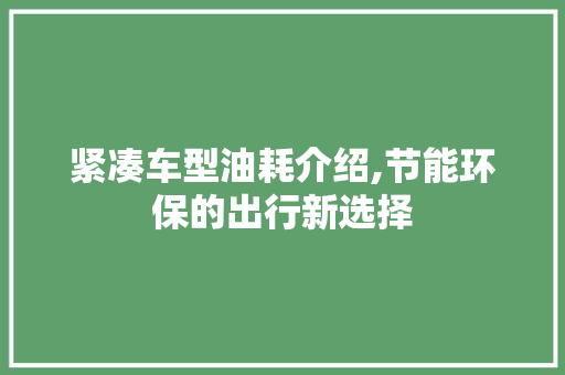 紧凑车型油耗介绍,节能环保的出行新选择