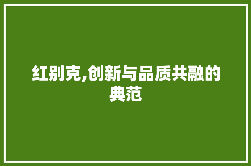 红别克,创新与品质共融的典范