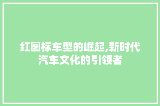 红图标车型的崛起,新时代汽车文化的引领者