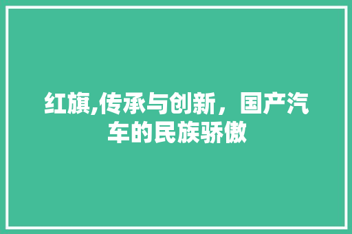红旗,传承与创新，国产汽车的民族骄傲