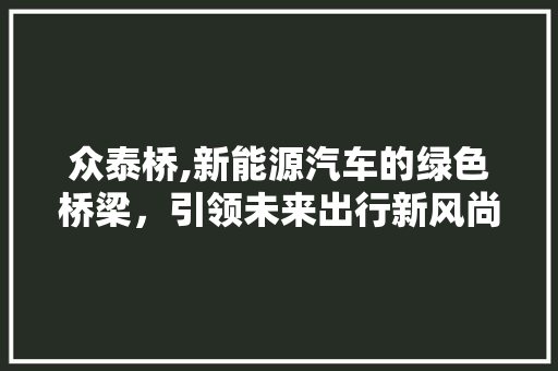 众泰桥,新能源汽车的绿色桥梁，引领未来出行新风尚 底盘配件