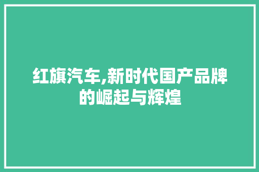 红旗汽车,新时代国产品牌的崛起与辉煌
