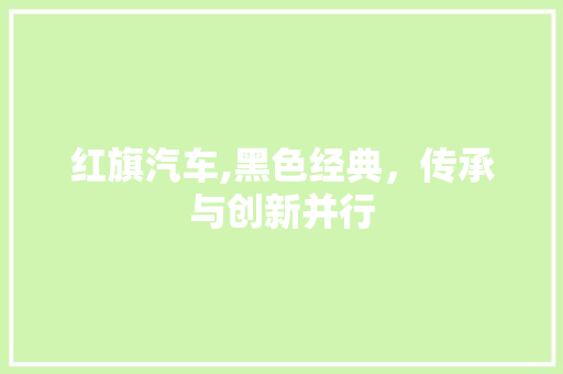 红旗汽车,黑色经典，传承与创新并行