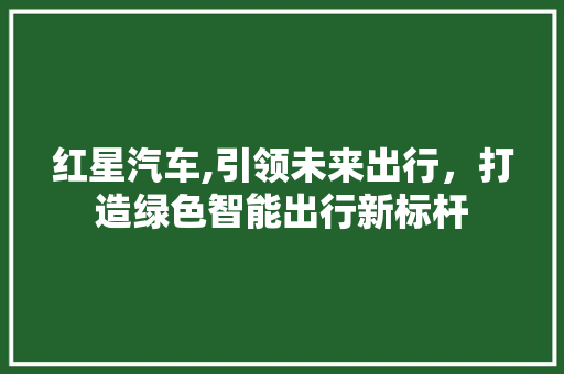 红星汽车,引领未来出行，打造绿色智能出行新标杆