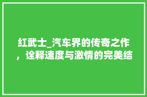 红武士_汽车界的传奇之作，诠释速度与激情的完美结合