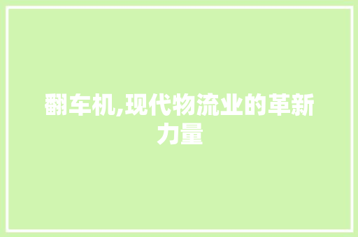 翻车机,现代物流业的革新力量