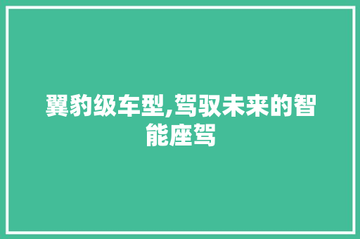 翼豹级车型,驾驭未来的智能座驾