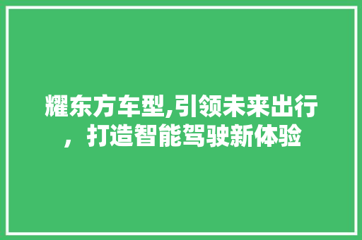 耀东方车型,引领未来出行，打造智能驾驶新体验