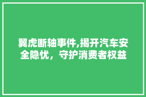 翼虎断轴事件,揭开汽车安全隐忧，守护消费者权益 蓄电池配件