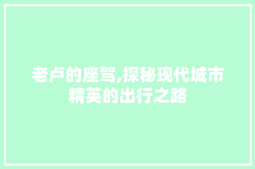 老卢的座驾,探秘现代城市精英的出行之路