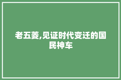 老五菱,见证时代变迁的国民神车