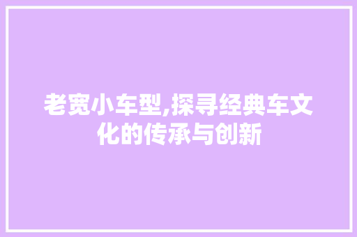老宽小车型,探寻经典车文化的传承与创新