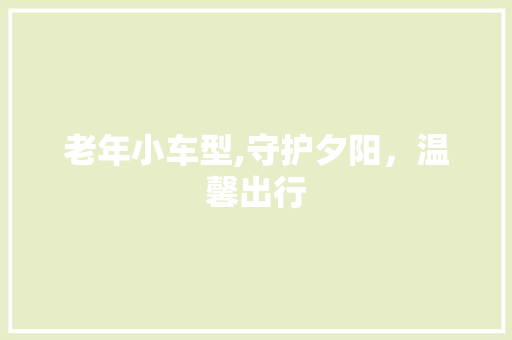 老年小车型,守护夕阳，温馨出行