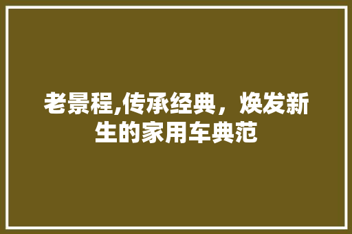老景程,传承经典，焕发新生的家用车典范 底盘配件