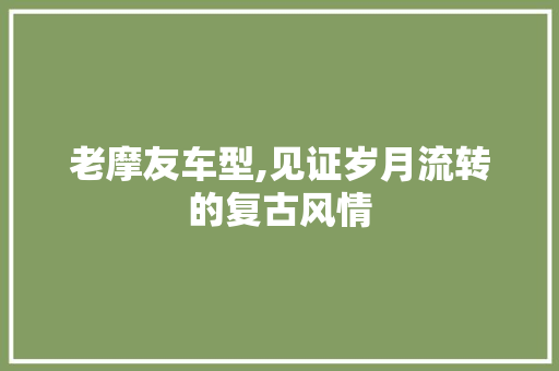 老摩友车型,见证岁月流转的复古风情