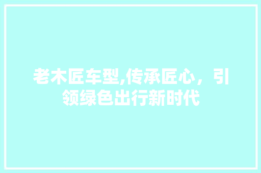 老木匠车型,传承匠心，引领绿色出行新时代