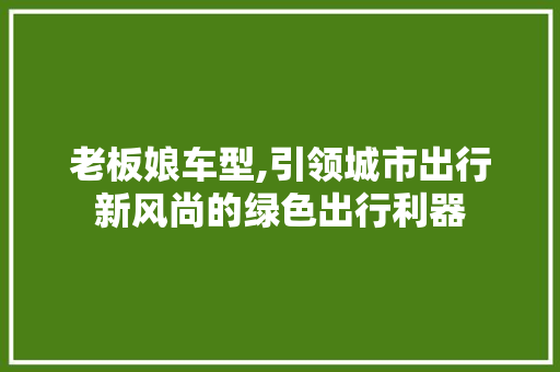 老板娘车型,引领城市出行新风尚的绿色出行利器
