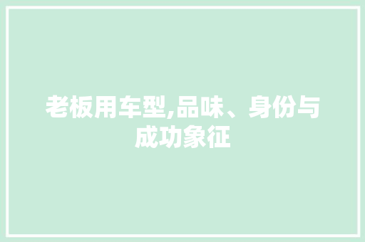 老板用车型,品味、身份与成功象征