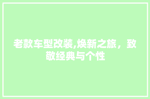 老款车型改装,焕新之旅，致敬经典与个性
